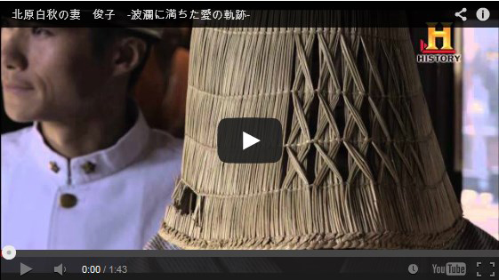 �k�����H�̍ȁ@�r�q,�q�X�g���[�`�����l��,���k�V��